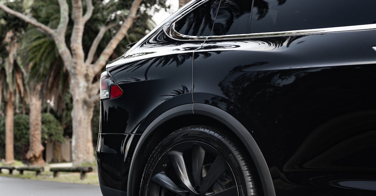 Eco-Friendly Air Fresheners Available in Sydney's Car Detailing Shops