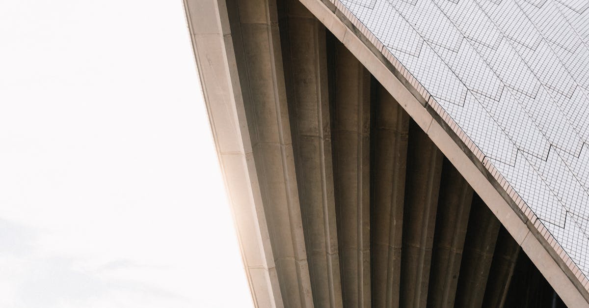 Essential Tools for Professional Upholstery Shampooing in Sydney