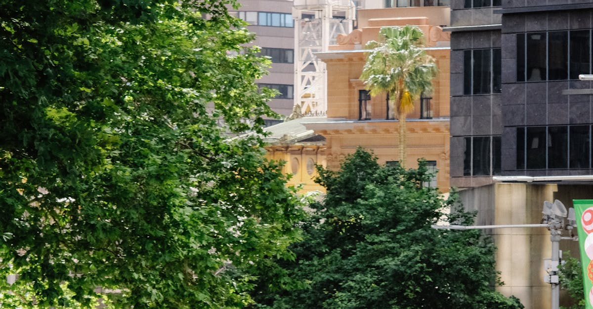 How Mobile Services are Transforming Car Detailing in Sydney