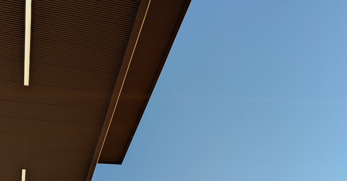 Natural Alternatives for Car Interior Stain Removal