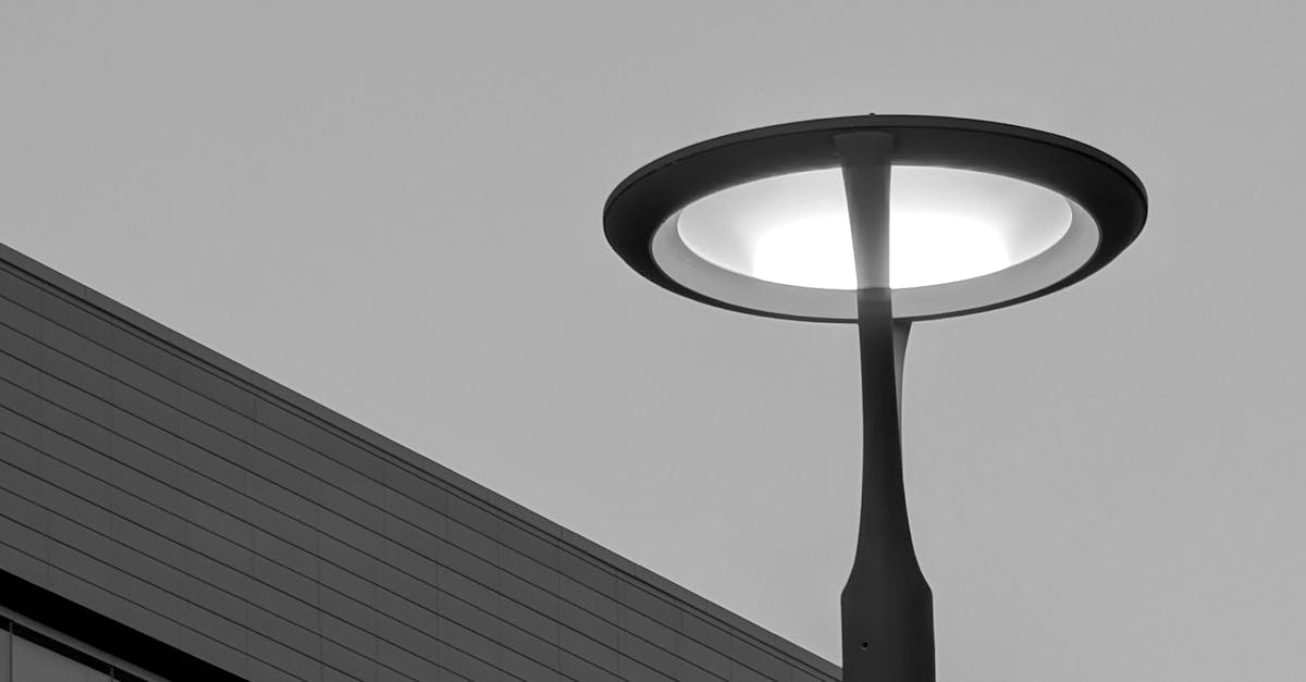 Natural Fruit-Based Deodorisers for Car Interiors